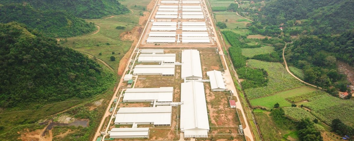 Trang trại lợn 72000 con tập đoàn NewHope tại Thạch Tượng - Thạch Thành - Thanh Hóa