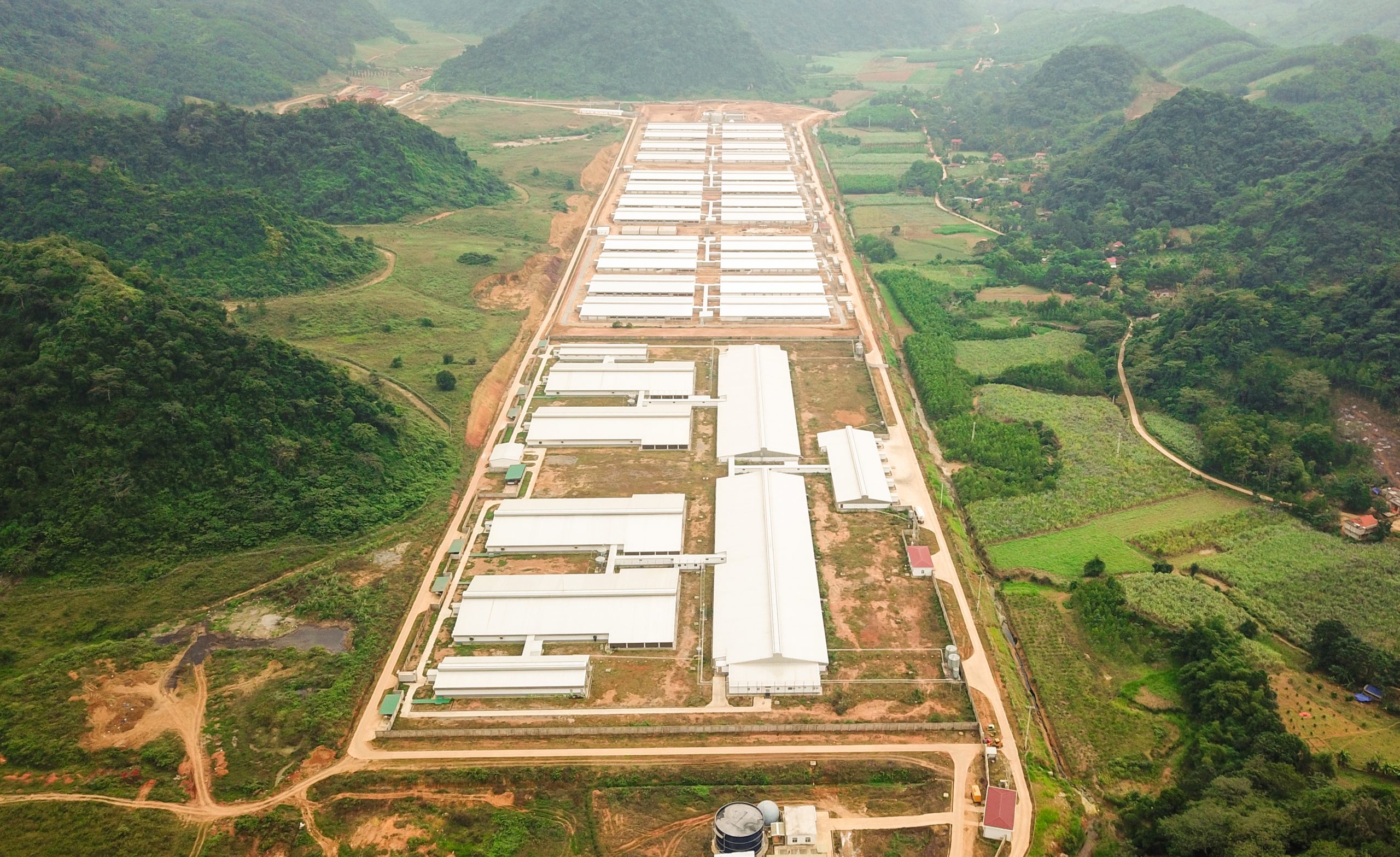 Trang trại lợn 72000 con tập đoàn NewHope tại Thạch Tượng - Thạch Thành - Thanh Hóa